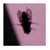 :iconmorning-after-pill: