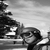 :iconmorning-montreux: