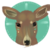 :iconmorningflight: