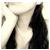 :iconmorningmirror: