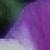 :iconmorningstar42: