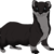 :iconmorobutt:
