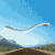:iconmorphdesign: