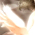 :iconmorphee: