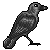 :iconmorridog: