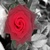 :iconmorriganred: