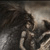 :iconmorrighu: