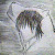:iconmorroclearwater: