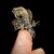 :iconmortemobstruete01: