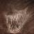:iconmortinus: