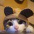 :iconmortislegio: