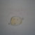 :iconmoshipoppet: