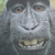:iconmosquitobite: