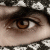 :iconmoss3ab: