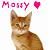 :iconmossbrook1: