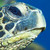 :iconmossypaste: