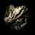 :iconmosttry: