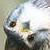:iconmot121: