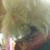 :iconmoth-fox: