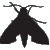 :iconMothMaiden: