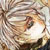 :iconmothmos: