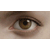 :iconmothramegas: