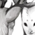 :iconmothtail: