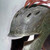 :iconMotionofLife: