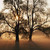 :iconmotiv8d2dream:
