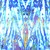 :iconmotleybird: