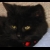 :iconmotorboat112793:
