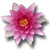 :iconmotorcyclechick123: