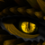 :iconmotpart: