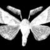 :iconmotti-flys: