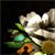 :iconmoudy521: