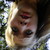 mouette-sky :iconmouette-sky: