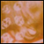 :iconmouldy-cat: