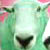 mouldyloz :iconmouldyloz: