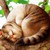:iconmounette25: