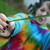 :iconmountain-jumperr: