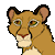 :iconmountaincheetah: