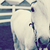 :iconmountainsongs: