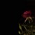 :iconmournbunny: