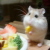 :iconmousa789: