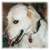 :iconmouse-stock: