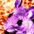 :iconmouse05k12: