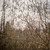 :iconmovienevermade1: