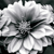 :iconmovingpicturesx: