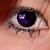 :iconmoxie-black: