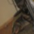 :iconmoxyfromtheroxy: